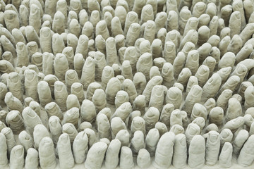 Obraz premium Lots of fingers