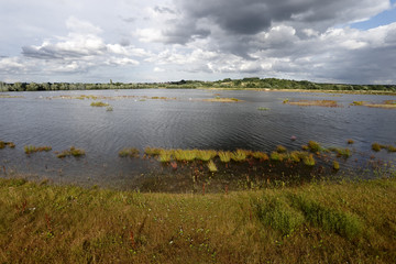 Middleton Hall RSPB Reserve
