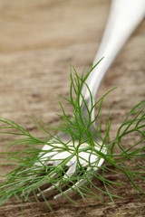 Gabel mit Fenchelkraut