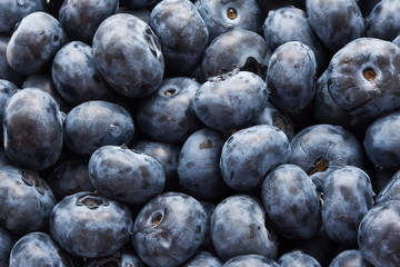 Blueberries