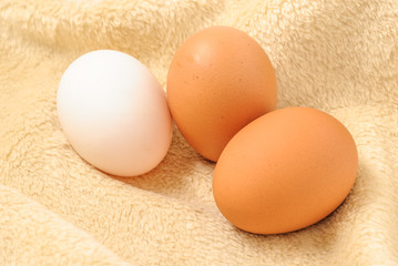 Eggs