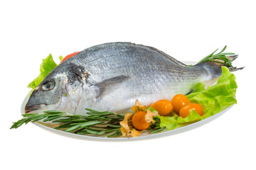 Raw dorada