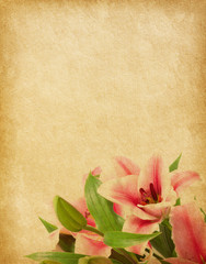 Beige paper background with lilies.