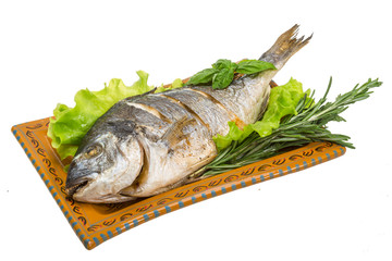 Grilled dorada