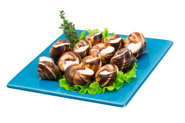 Escargot