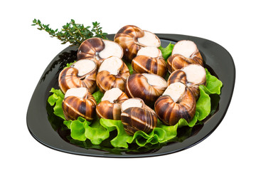 Escargot