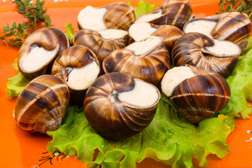 Escargot