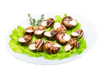 Escargot