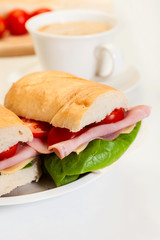 Italian panini sandwich