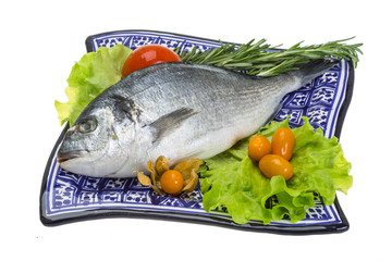 Raw dorado
