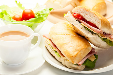 Italian panini sandwich