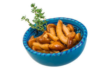 Armillaria