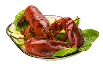Large Lobster