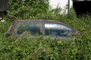 Altes Auto im hohen Gras
