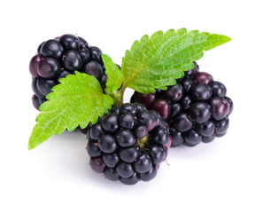 Blackberries  isolated on white background