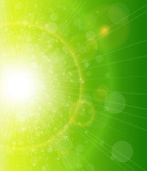 Green sunny background