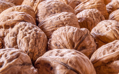 Fototapeta na wymiar walnut