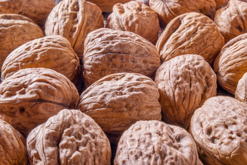 walnut