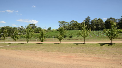 Hyper lapse of farmland