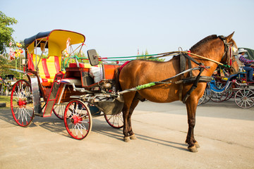 Horse carriages for tourist services in Lampang Thailand