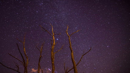 Night sky of stars time-lapse