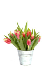 Tulpentopf