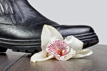 Crashed flower