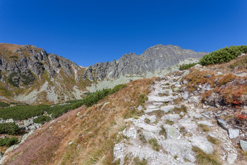 Fototapeta na wymiar Beautiful trail in the Tatra Mountains