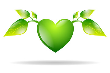 green eco symbol isolated