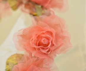 Beautiful abstract floral