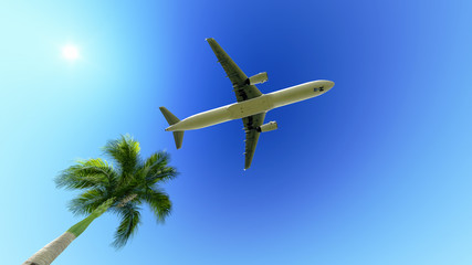 Fototapeta na wymiar Samolot nad palmą