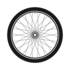 Isolated Bicycle Wheel