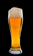 Still Life with a draft beer by the glass.