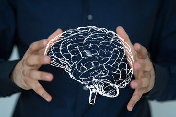 brain