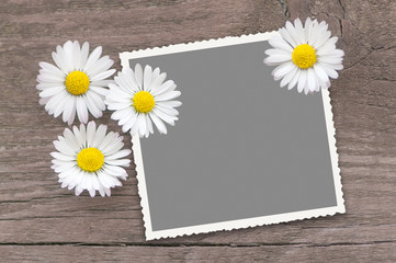 Endlich Frühling, Frühjahrsaktion, Platzhalter für eigenes Foto