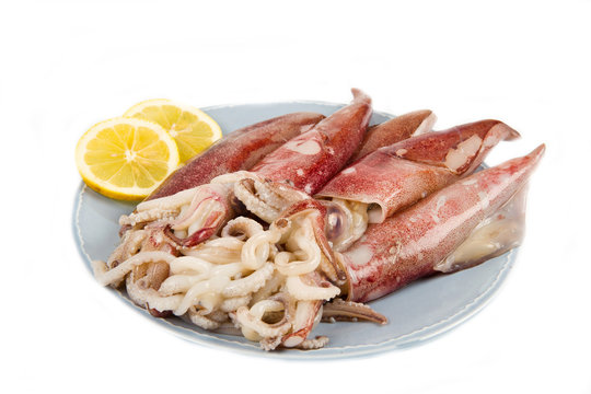 calamari freschi