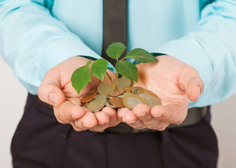 Businessman cover growing plant with coin money