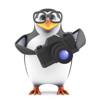 Academic penguin snaps a picture