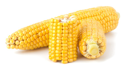 Fresh raw corn cobs isolated on the white background