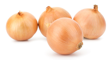 Fresh bulbs of onion on a white background
