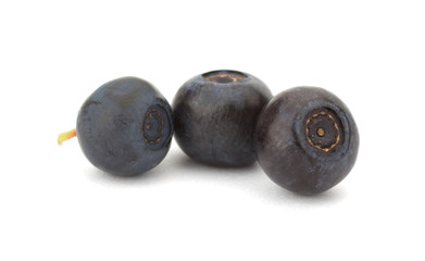 Fresh blueberries isolated on white background