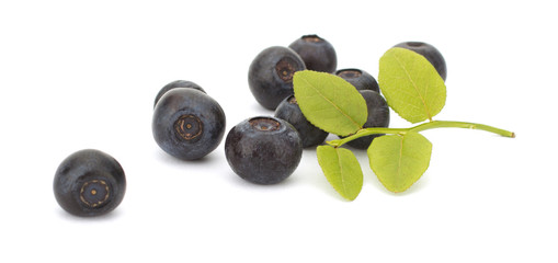 Fresh blueberries isolated on white background