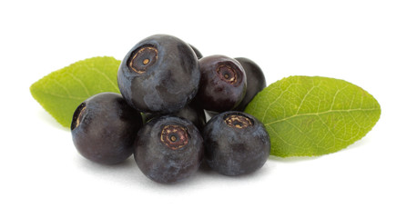 Fresh blueberries isolated on white background
