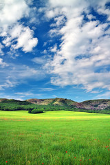 Green meadow in mountain. Composition of nature.