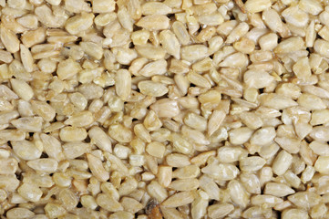 Honey bars