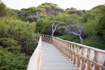 Bridge Mallorca
