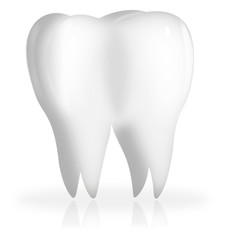 gesunder Backenzahn freigestellt