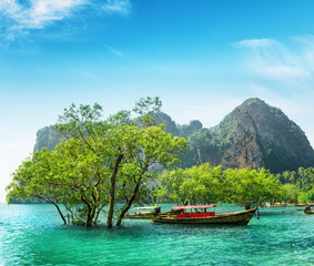 Fototapeta na wymiar Boats on Railay beach, Thailand