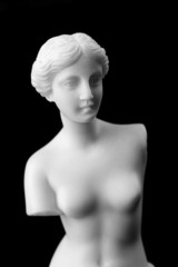 The Venus de Milo is a marble statue of the Hellenistic era.