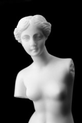 The Venus de Milo is a marble statue of the Hellenistic era.